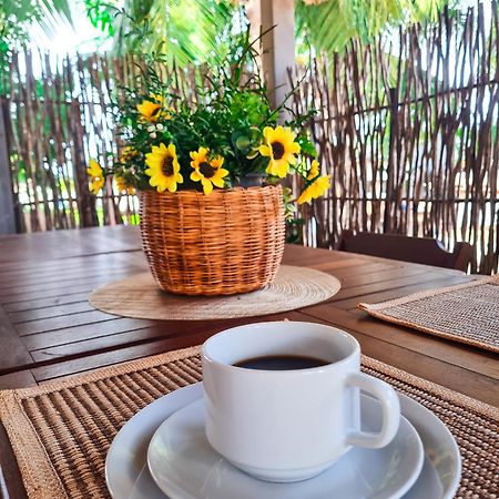 Hospedaria Oliveira - Santo Amaro Do Maranhao Queimada  외부 사진